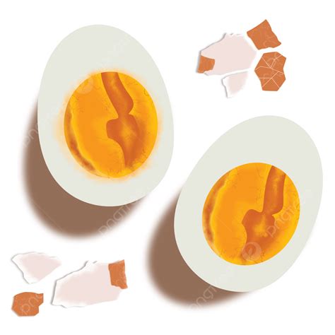 Gambar Telur Rebus Dengan Ilustrasi Cangkerang Muat Turun Percuma Png