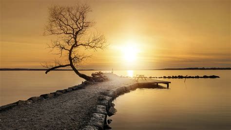 Masaüstü Güneş ışığı Ağaçlar Manzara Gün Batımı Deniz Göl Su