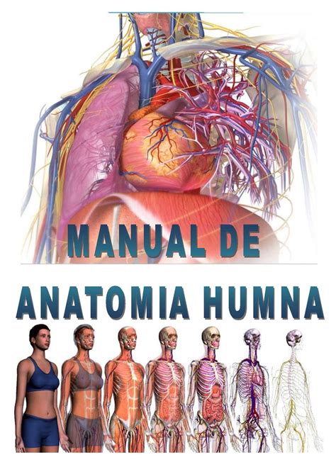 Calaméo Manual De Anatomia Humana Edwin Ambulódegui
