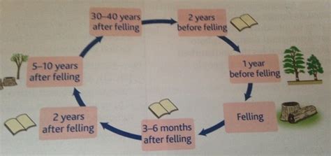Learn vocabulary, terms and more with flashcards, games and other study tools. Malaysia (Case Study) - Geography revision - AQA GCSE