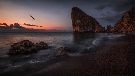 Landscape Crimea The Sea Rocks Beach Sunset Bird Wallpapers Hd