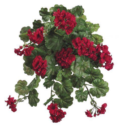 Purple red and white flowers trailing out of wooden trough with copyspace. Artificial 22 Red Geranium Trailing Bush ** To view ...