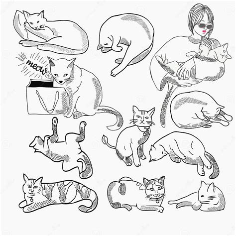 Set Of Cats Illustration In Different Poses And Character Design Stock Vector Illustration Of