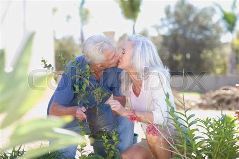 Older Couple Kissing In Garden Stock Image Colourbox