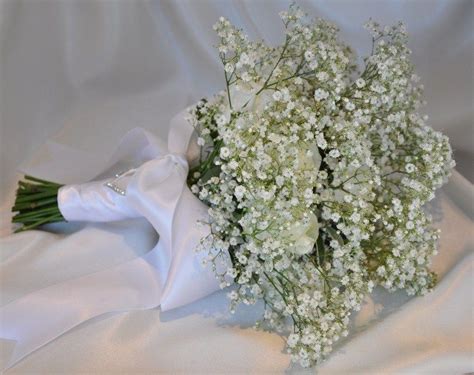 January Favourite Gypsophila Helen Jane Floristry Bride Flowers