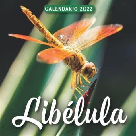 Libélula Calendario 2022 Calendario 12 Meses 2022 85 X 85 In