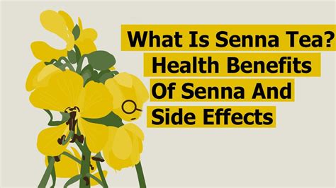 What Is Senna Tea Health Benefits Of Senna Side Effects And How To Use Senna Leaves Part 1
