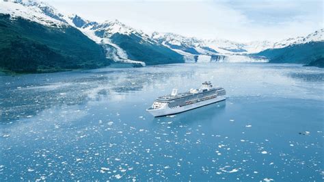 Ont. woman, 79, survives night lost in Alaska forest but misses cruise ...