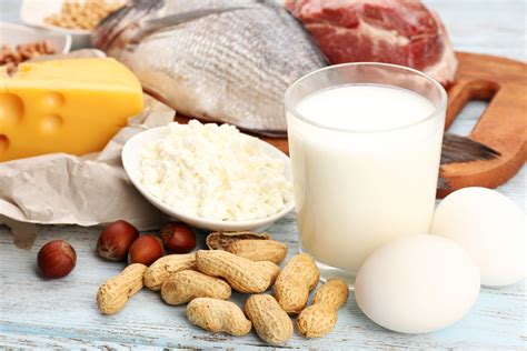 Proteine Gli Alimenti Più Ricchi