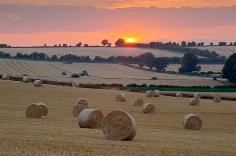 British Harvest When Is Harvest Day Plus History And Traditions
