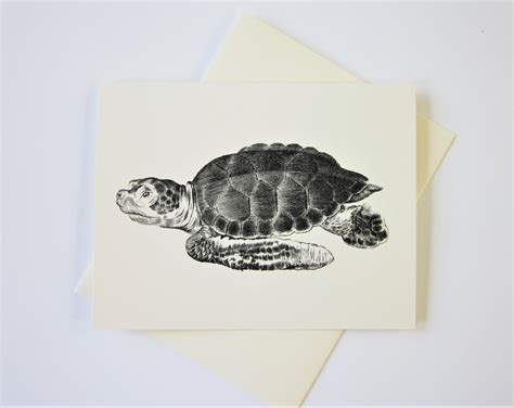 Sea Turtle Note Cards Stationery Set Of Cards In White Or Etsy