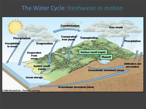 Ppt Conservation Eco Hydrology Series Basics Of Watershed Hydrology