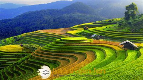 Bánh cuốn tráng bằng máy tự động! Yen Bai City, North West Vietnam Travel, Trek, Hiking, Cycling