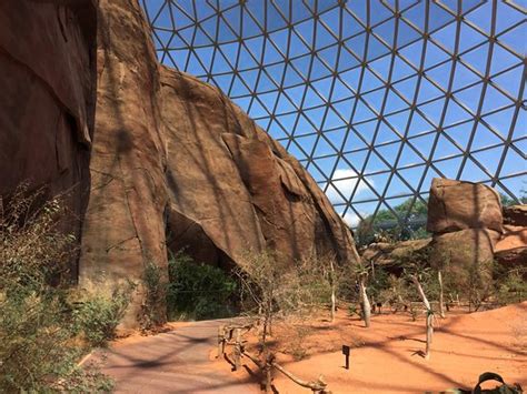 Henry Doorly Zoo Omaha 2021 What To Know Before You Go With Photos
