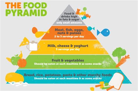 Mypyramid, unveiled in 2005, was essentially the food guide pyramid turned on its side, without any explanatory text. Food pyramid is "outdated", say critics | The Bulletin