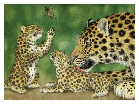 Amur Leopards Contest Entry By The Blackwolf On Deviantart