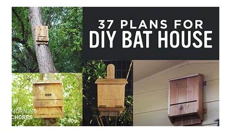 Build A Bat Printable