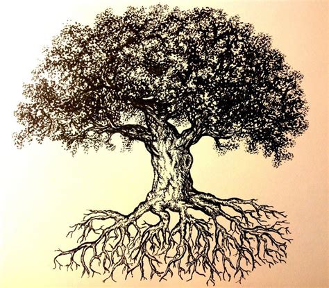 How to draw trees with pen and ink. Tree ink drawing | Oak tree drawings, Tree drawing, Tree ...