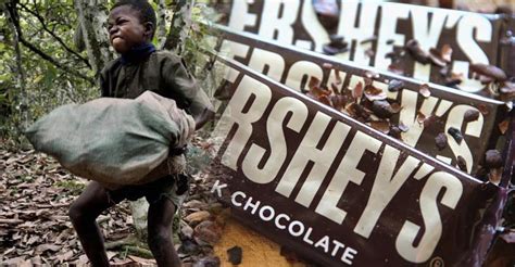 The Chocolates You Love So Much Come With A Harsh Price Child Slave