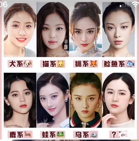 Animal Face Type In 2022 Animal Faces Korean Face Face