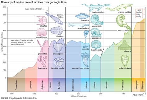A Journey Through Time Since The Precambrian