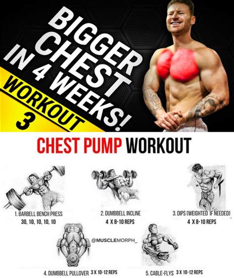 Chest Day Exercises Guide