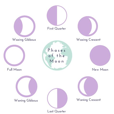 Lunar Cycles Vs Menstrual Cycles Your Period And The Full Moon Binto