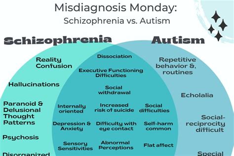 Schizophrenia Or Autism — Insights Of A Neurodivergent Clinician