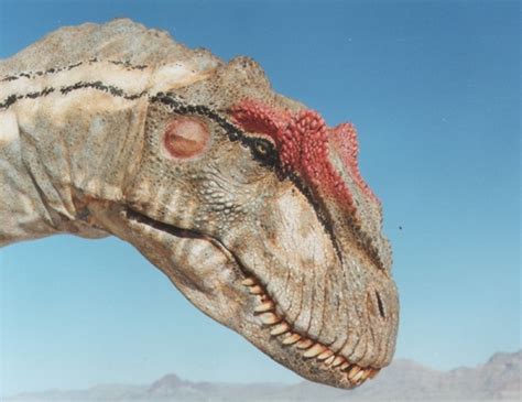 Caitlin BrandoComs Open On Twitter Joseph Joestar Is An Allosaurus