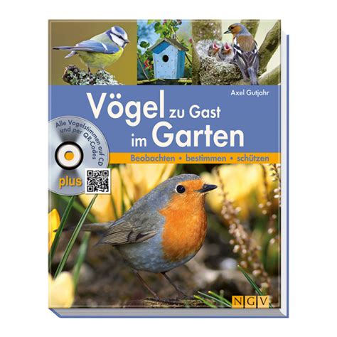 Vögel in unserem garten mit vogelstimmen. Buch "Vögel zu Gast im Garten" | Landesjagdverband ...