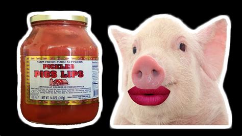 Lets Try Pickled Pig Lips Pickled Meat In A Jar What Are We
