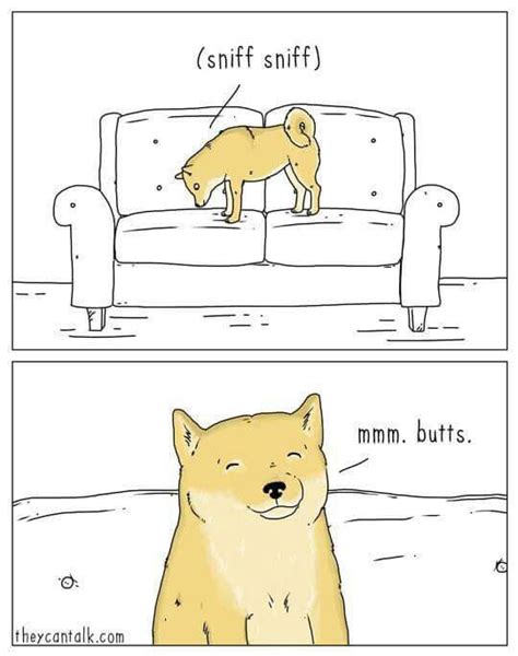 Funny Animal Comics Dog Comics Animal Memes Funny Animals Funny
