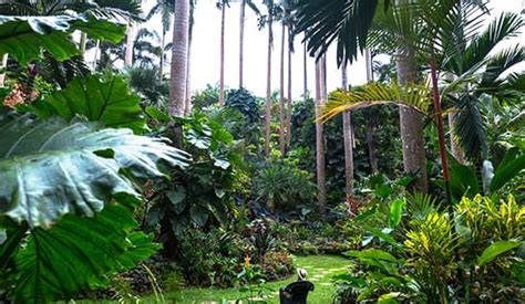 Flower Forest Botanical Gardens Suntours Barbados Tours Transfers