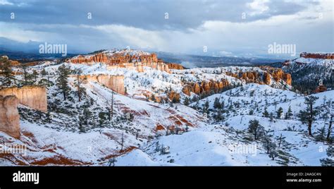 Winter Panoramic Of Bryce Canyon National Park After New Snow In