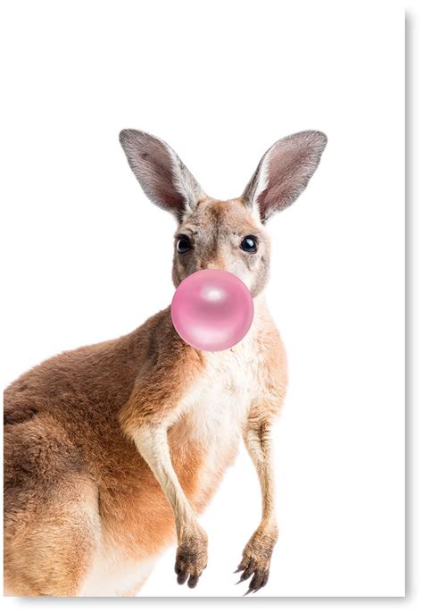 Awkward Styles Kangaroo Blow Bubble Gum Poster Print Art Kids Room