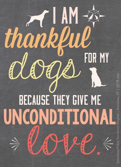 I Am Thankful For My Dogs Because They Give Me Unconditional Love