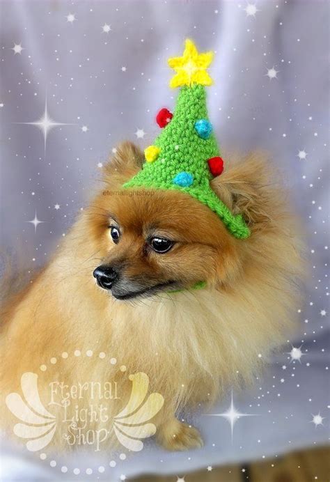 Christmas Tree Pet Hat Xs S M On Etsy 1200 Crochet Dog Clothes