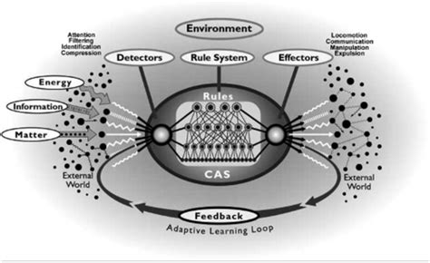Complex Adaptive System Model Download Scientific Diagram