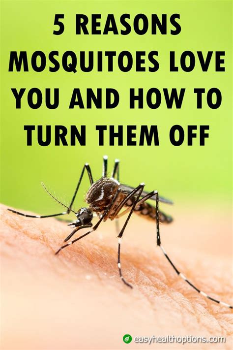 5 Reasons Mosquitoes Love You And How To Turn Them Off Mosquito
