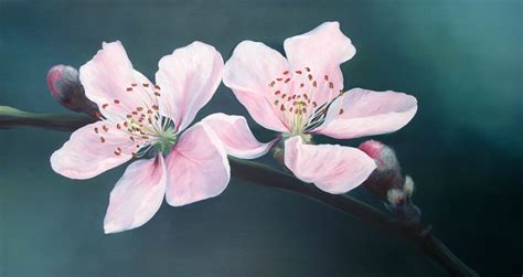 Cherry Blossom Oil Painting By Ele Art Oil Painting Tips Tree