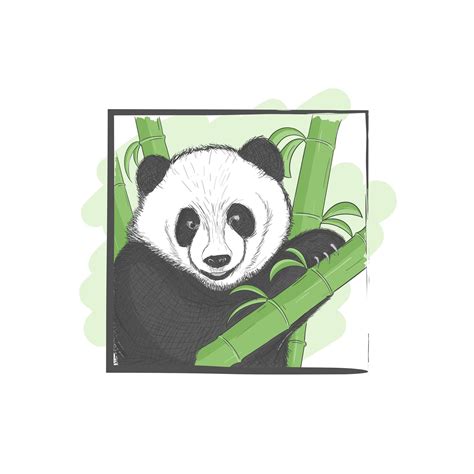 Hand Drawn Panda Animal Illustration In 2021 Animal Illustration How