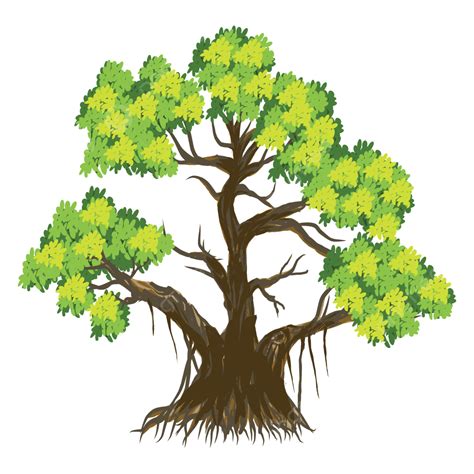 Gambar Ilustrasi Pohon Beringin Beringin Pohon Pertanian Png Dan