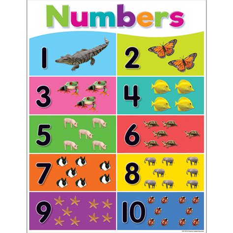 Worksheets, flash cards, coloring pages suitable for toddlers, preschool and kindergarten to help children learn numerals and early math concepts. Teachertoolsinc.com-Colorful Numbers 1-10 Chart