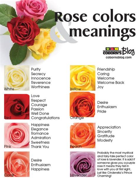 Rose Colors Meanings Chart