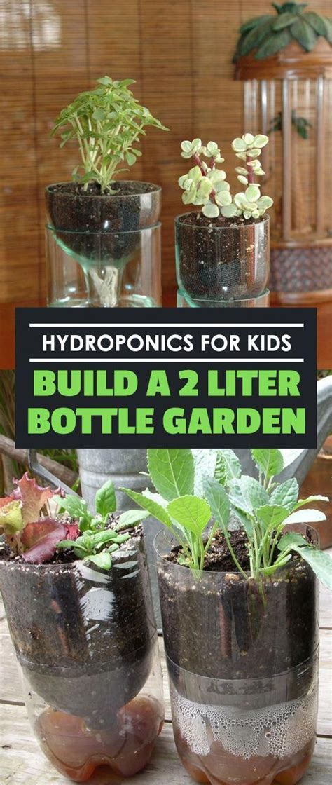 Hydroponics For Kids Is A Great Way To Involve Them In How Their Food