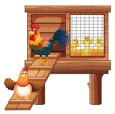 6 Cara Merawat Kandang Ayam Broiler yang Benar untuk Daging yang Lebih