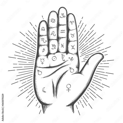 Human Palm With Palmistry Symbols Stock Vektorgrafik Adobe Stock