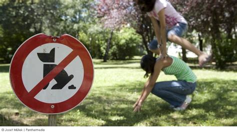 Lässt ein mieter seinen hund in den gemeinschaftsgarten mit der folge, dass der andauernde hundekot zu einer gravierenden störung des hausfriedens führt, kann dem mieter die wohnung fristlos gekündigt werden. Kündigung Mietvertrag - Verschmutzung des Gartens mit Hundekot