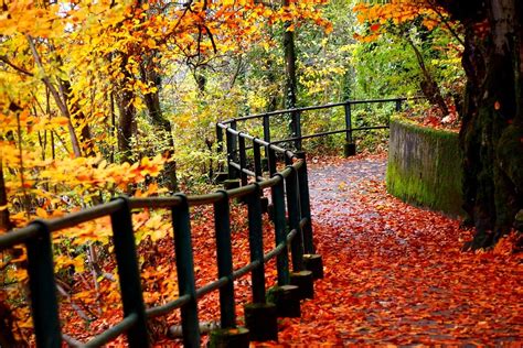 Nature Fall Autumn Free Photo On Pixabay Pixabay