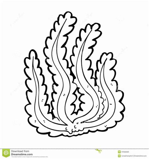 Easy Drawing Of Coral Reef | Free download on ClipArtMag